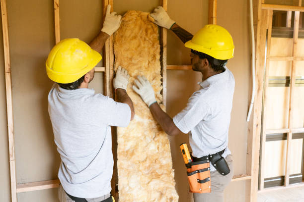 Best Blown-in Insulation  in Plainedge, NY